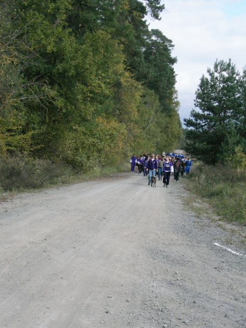 cc001Maggie brings them along.jpg 82.9K